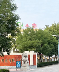 眾升科技高壓無(wú)功補(bǔ)償柜 --助力山東福洋生物科技股份有限公司,高效用電、改善用電質(zhì)量!